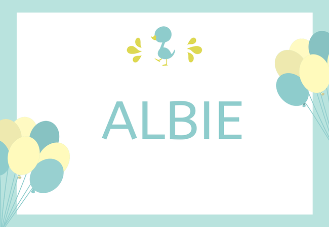 Albie baby boy name babynames.co.uk