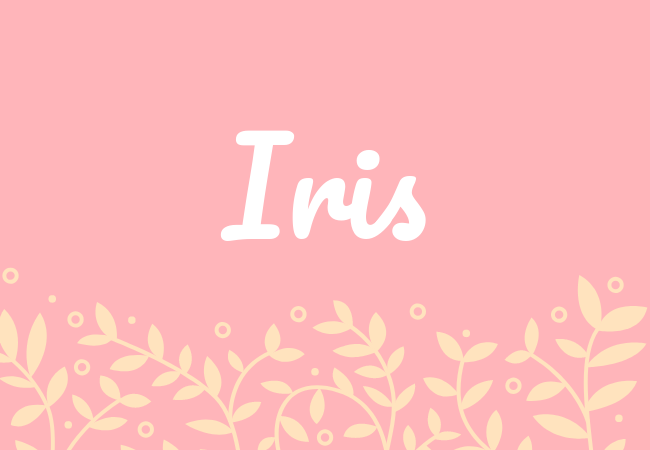 Most popular baby girl names Iris