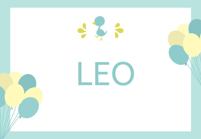 Leo baby boy name babynames.co.uk