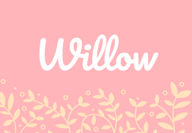 Willow most popular baby girl names