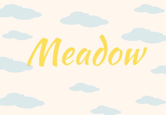 Summer baby names Meadow